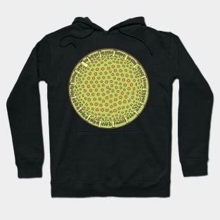 Diatom - Thalassiosira (color, artwork) Hoodie